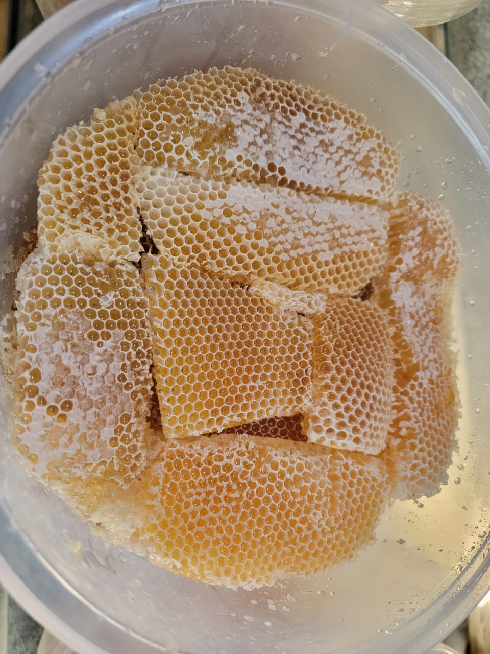 عسل سدر ممتاز