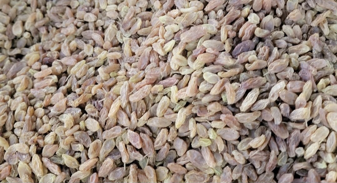 زبيب رازقي بلدي ٢