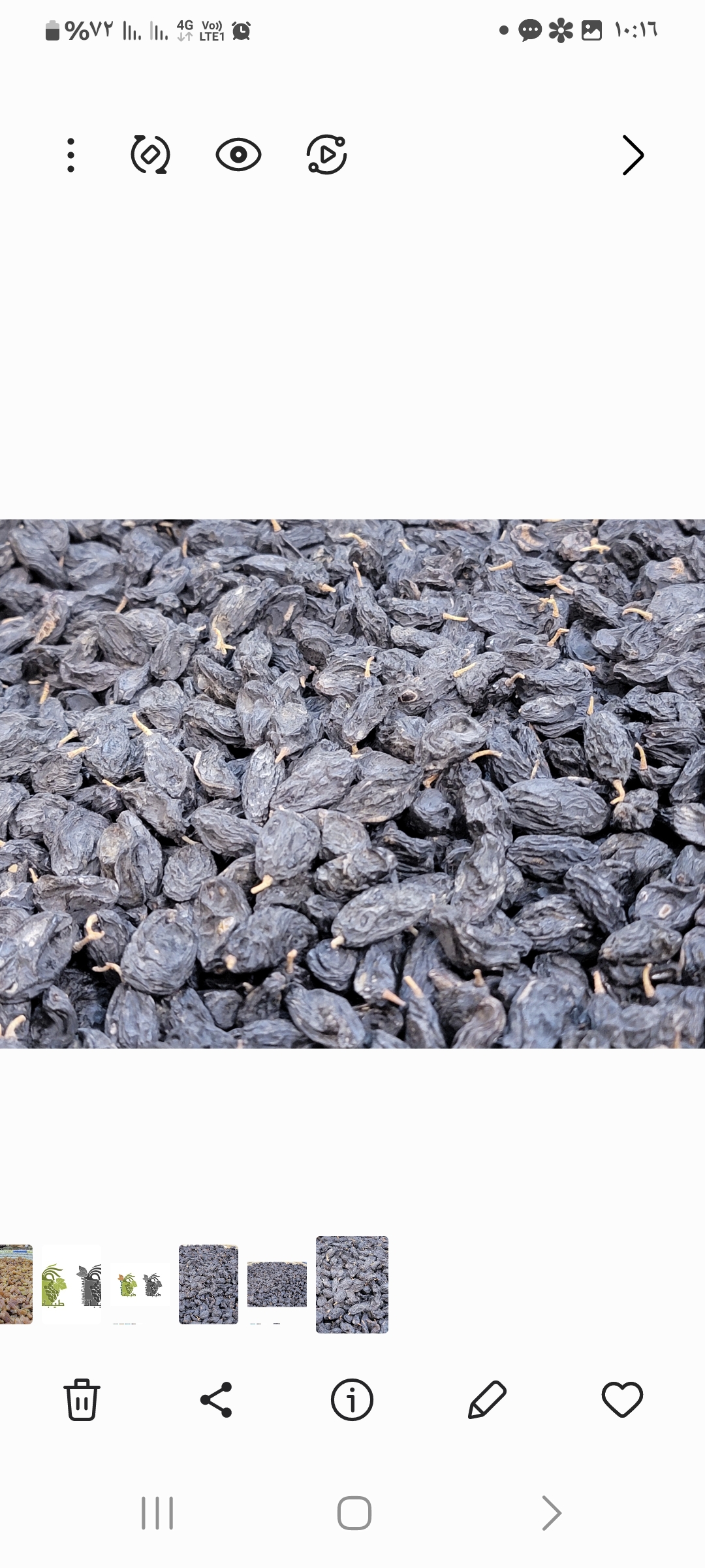 زبيب اسود جرموزي